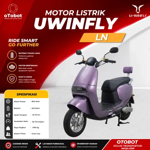 MOTOR LISTRIK UWINFLY LN