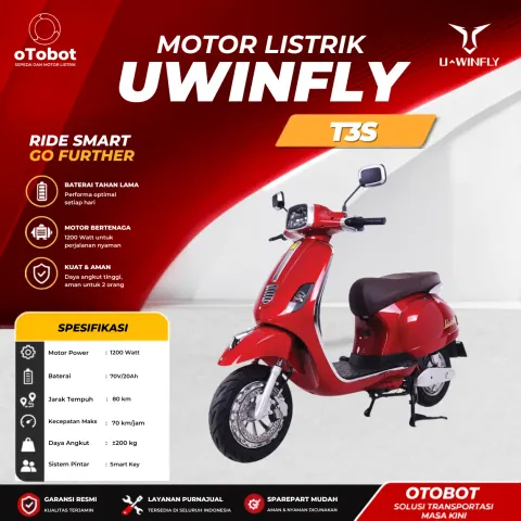 MOTOR LISTRIK UWINFLY T3S