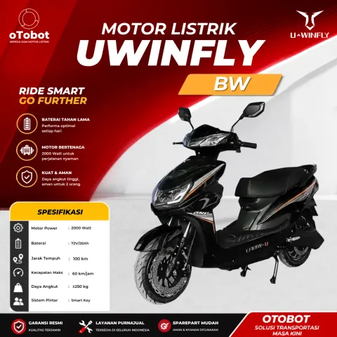 MOTOR LISTRIK UWINFLY BW