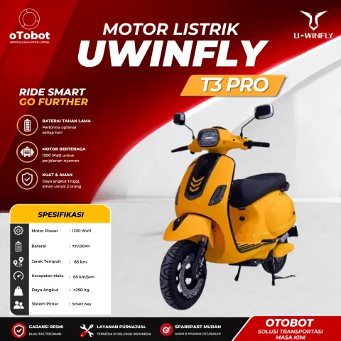 MOTOR LISTRIK UWINFLY T3PRO