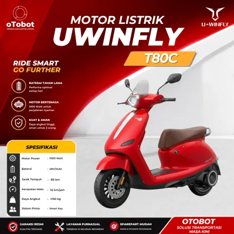 MOTOR LISTRIK UWINFLY T80C