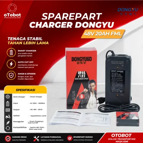 CHARGER DONGYU 48V 20AH FML