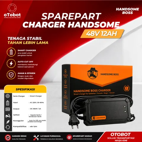 CHARGER HANDSOME BOSS 48V 12AH